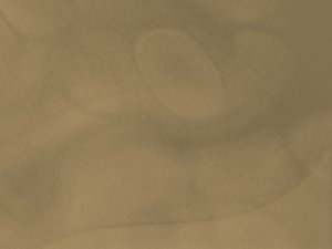 回滚机制